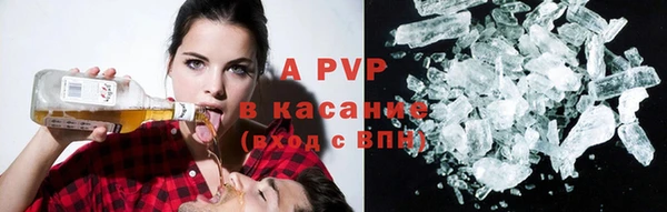амф Бородино
