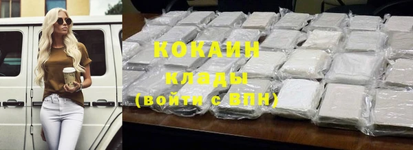 амф Бородино