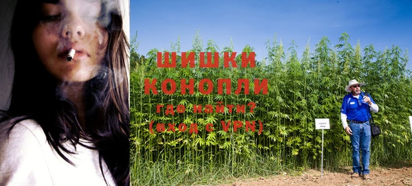 ГАЛЛЮЦИНОГЕННЫЕ ГРИБЫ Бронницы