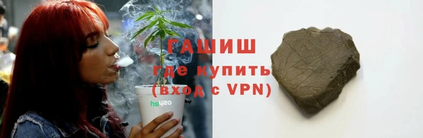 амф Бородино
