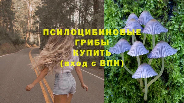 МДПВ Бугульма