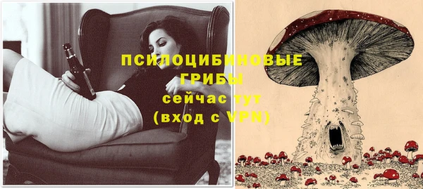 амф Бородино
