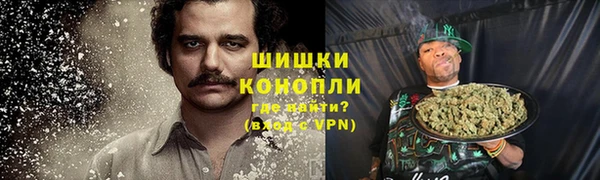ГАЛЛЮЦИНОГЕННЫЕ ГРИБЫ Бронницы