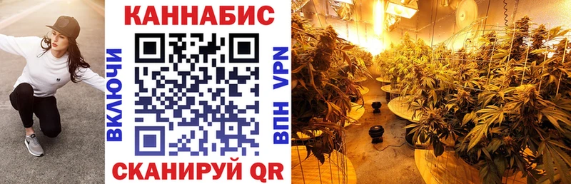 МАРИХУАНА SATIVA & INDICA  купить  сайты  Котельниково 